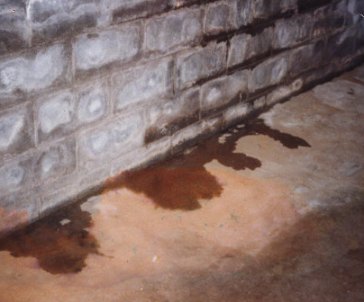 Basement Waterproofing